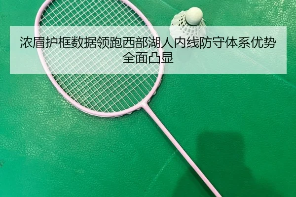 浓眉护框数据领跑西部湖人内线防守体系优势全面凸显